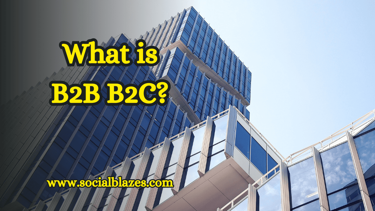 what is b2b and b2c